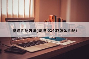 奥迪匹配方法(奥迪 01437怎么匹配)