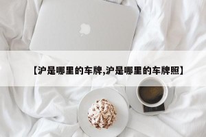 【沪是哪里的车牌,沪是哪里的车牌照】